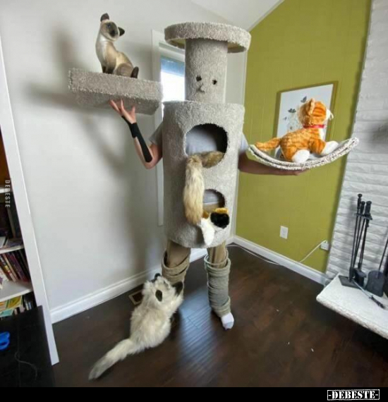  - Lustige Bilder | DEBESTE.de