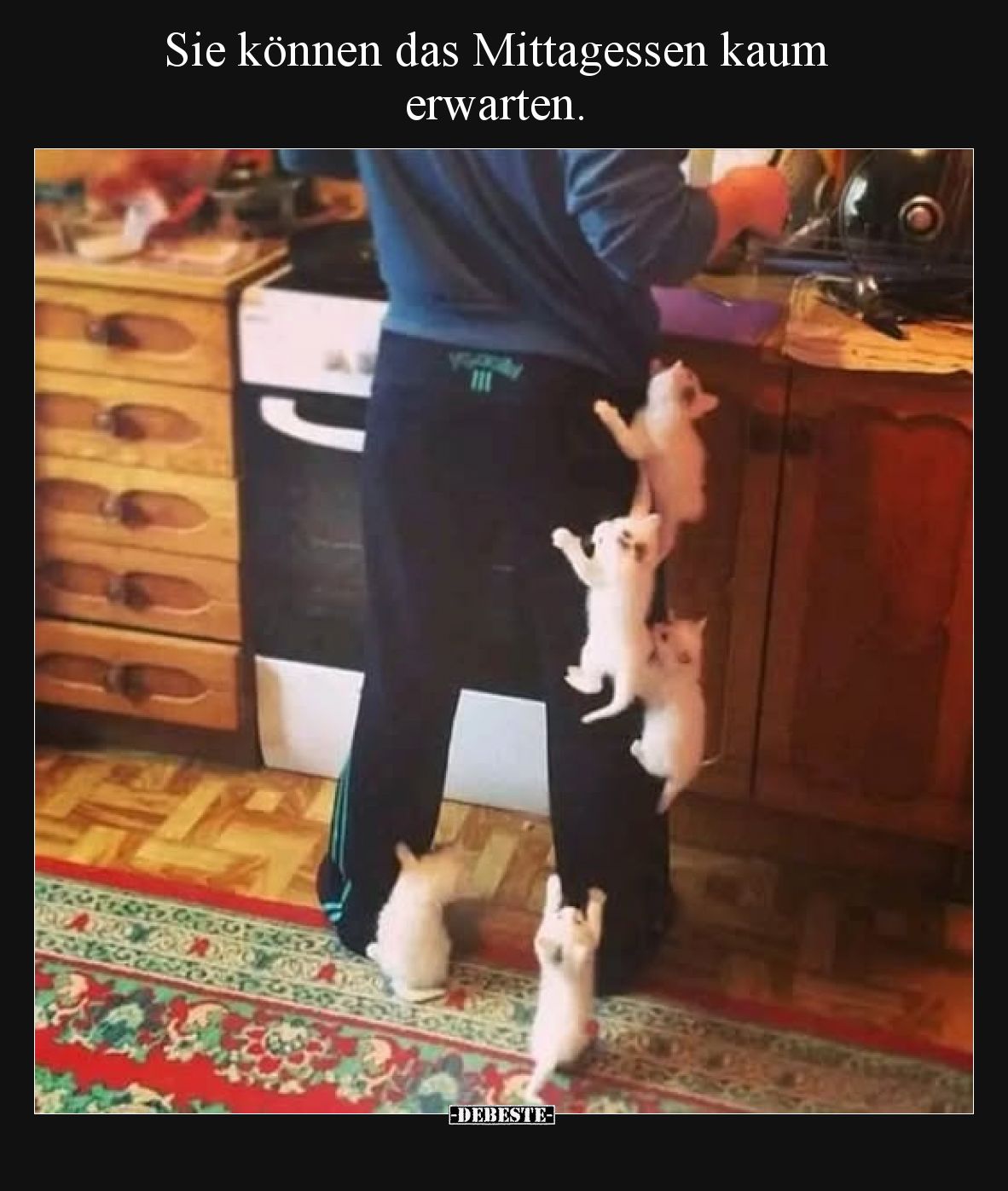 Sie können das Mittagessen kaum erwarten.