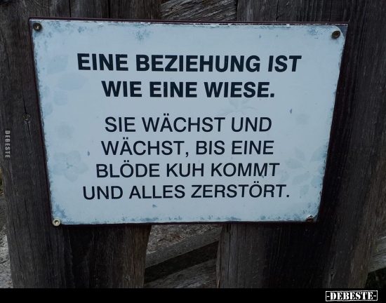 Eine Beziehung ist wie eine Wiese…