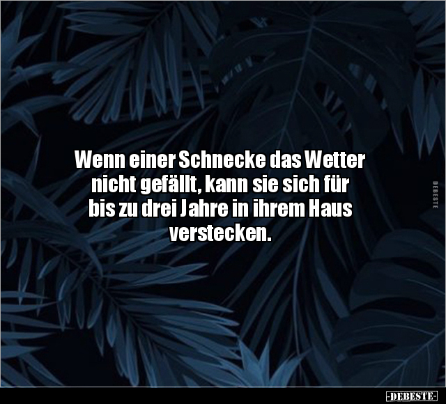 Wenn einer Schnecke das Wetter nicht gefällt, kann sie.. - Lustige Bilder | DEBESTE.de