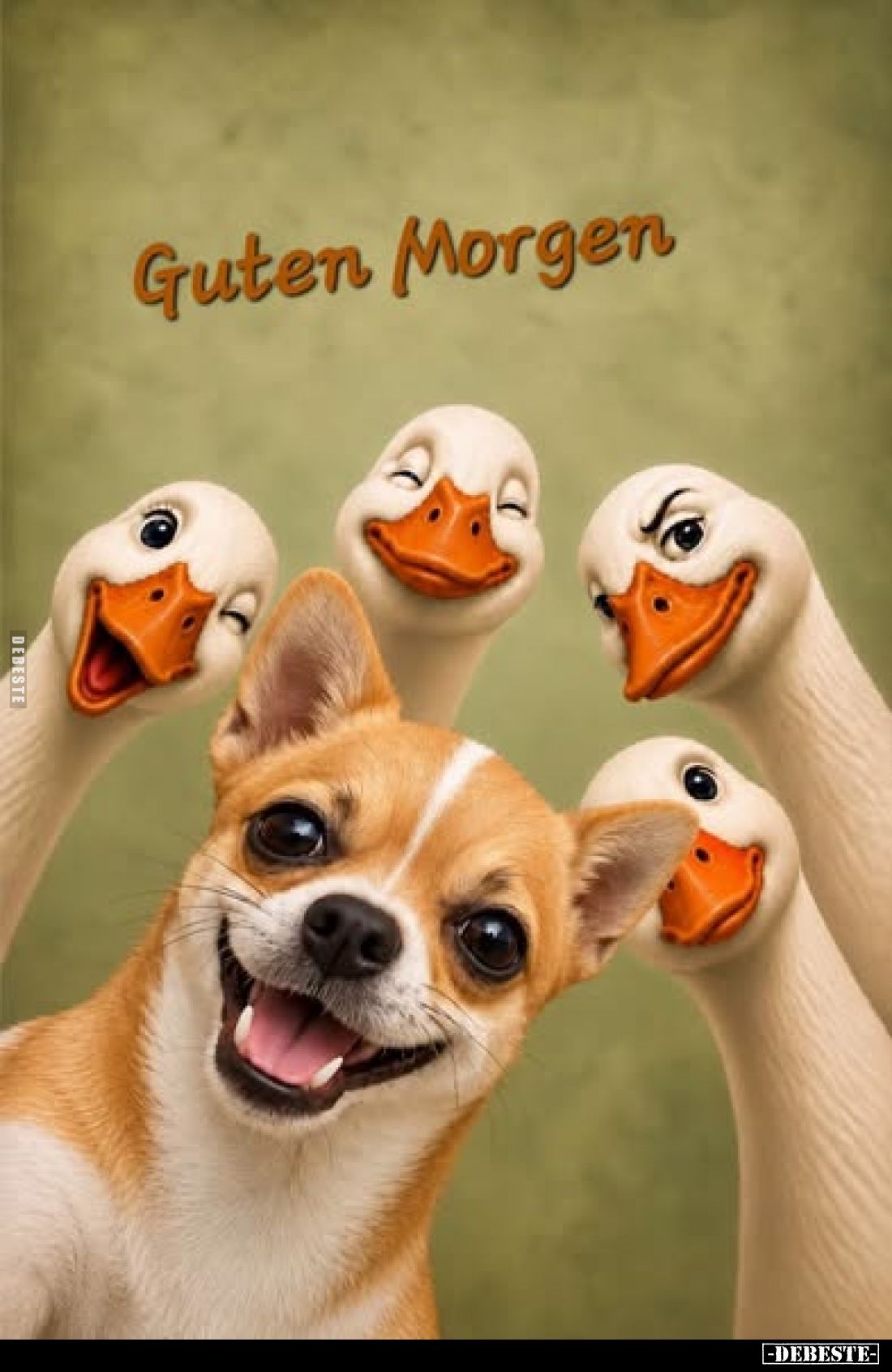 Guten Morgen