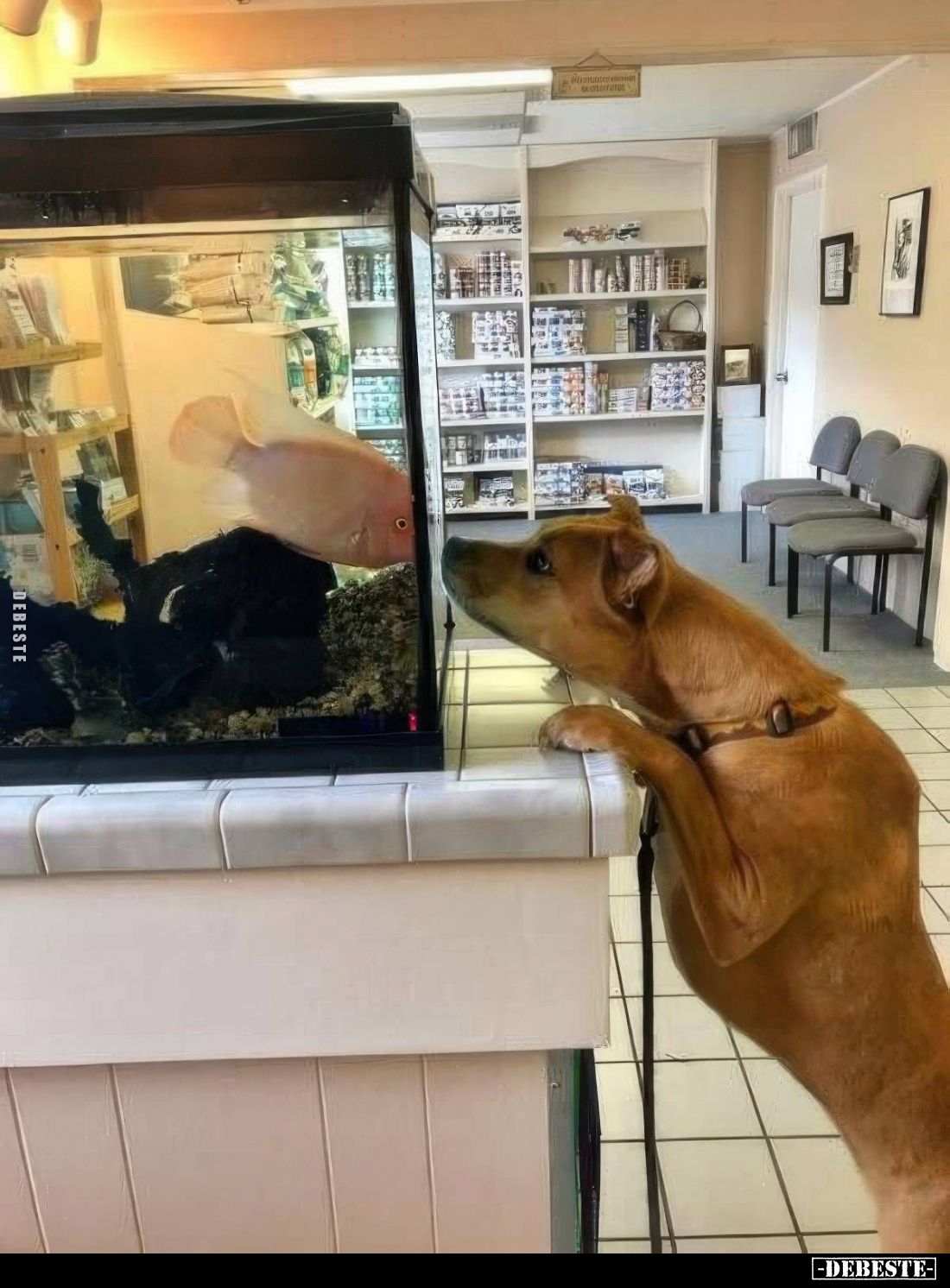  - Lustige Bilder | DEBESTE.de