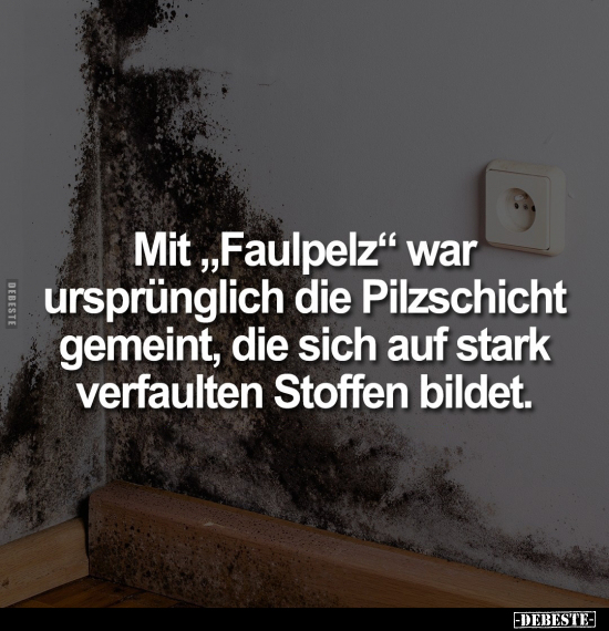 Mit "Faulpelz" war ursprünglich die Pilzschicht gemeint.. - Lustige Bilder | DEBESTE.de