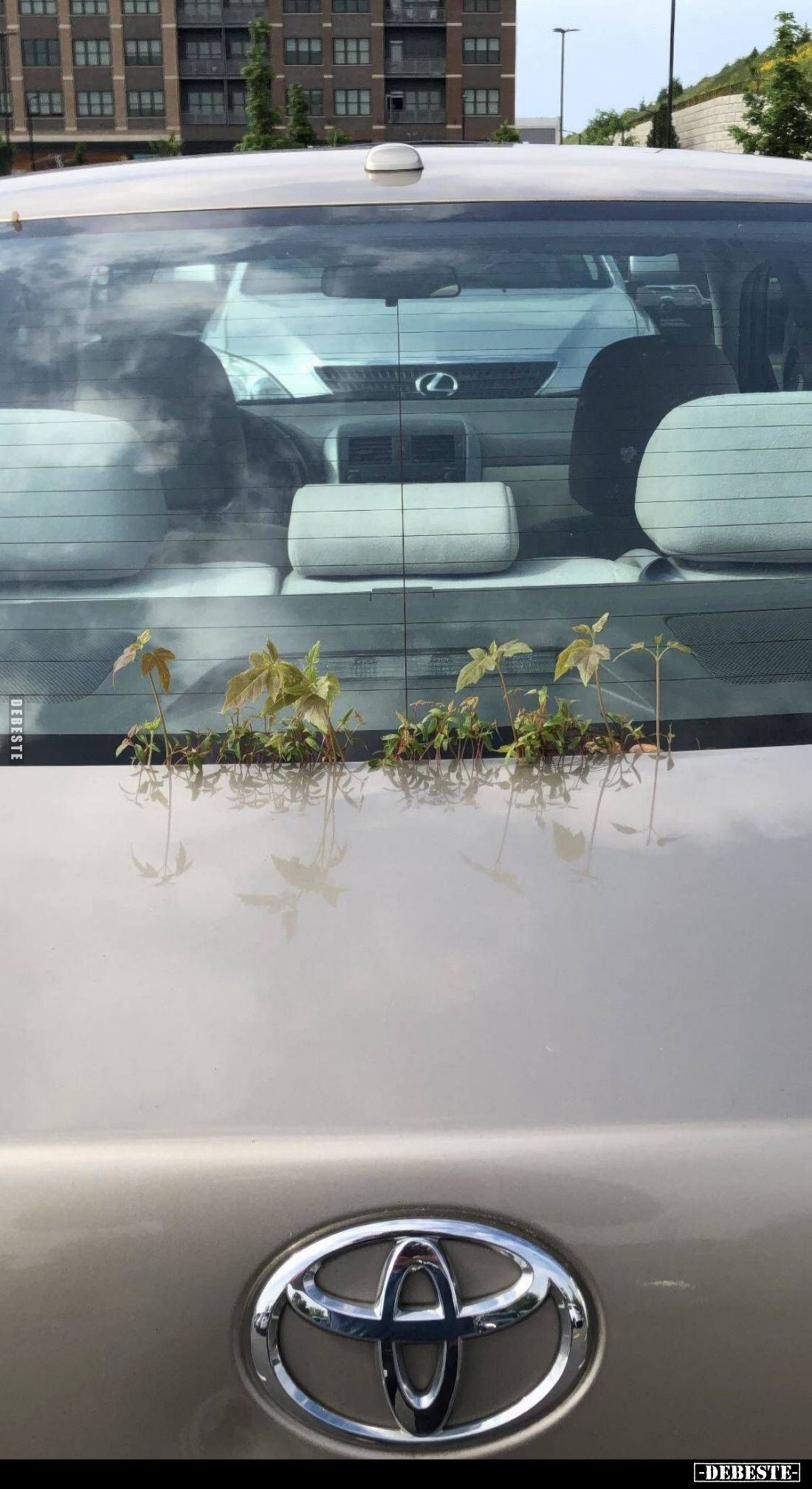  - Lustige Bilder | DEBESTE.de