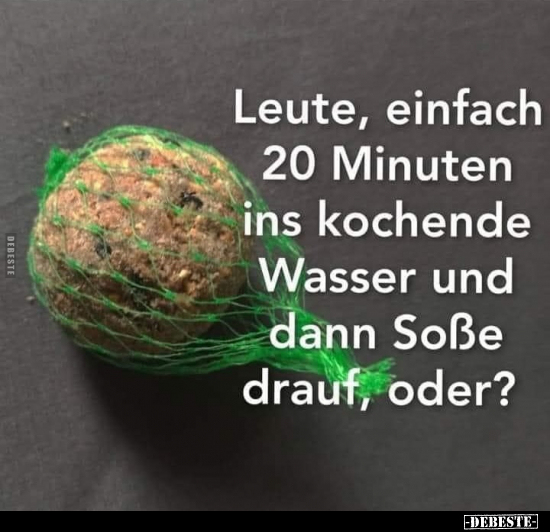 Leute, einfach 20 Minuten ins kochende Wasser und dann Soße.. - Lustige Bilder | DEBESTE.de
