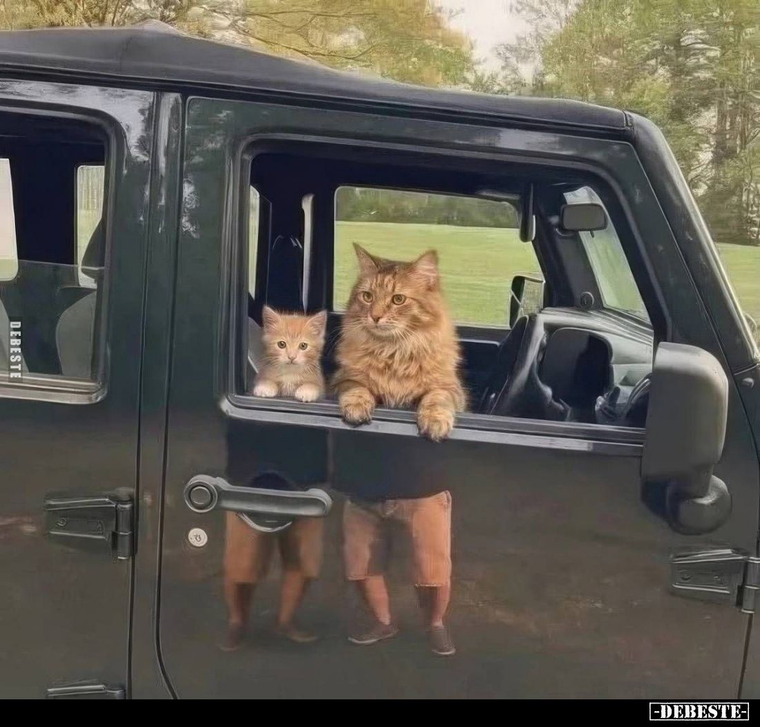  - Lustige Bilder | DEBESTE.de