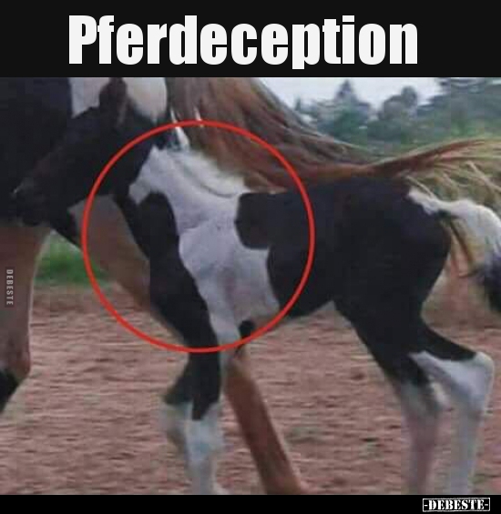 Pferdeception..