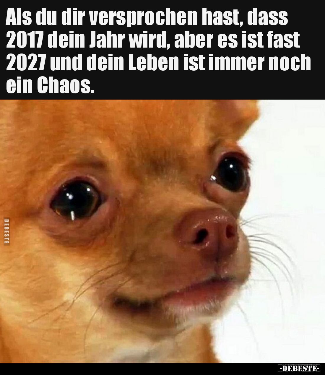 Als du dir versprochen hast, dass 2017 dein Jahr wird, aber.. - Lustige Bilder | DEBESTE.de
