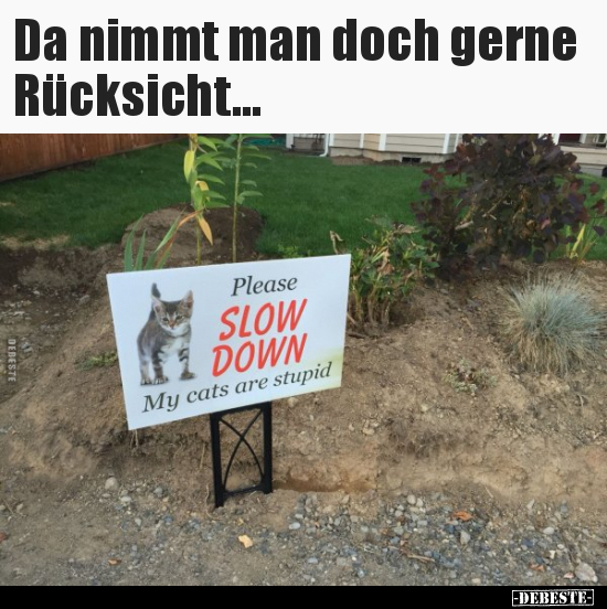 Da nimmt man doch gerne Rücksicht... - Lustige Bilder | DEBESTE.de