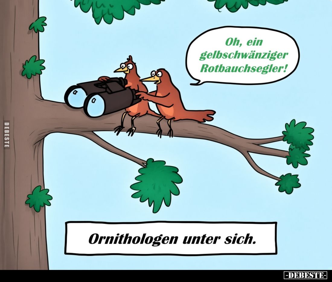 Oh, ein gelbschwänziger Rotbauchsegler!

Ornithologen unter sich.