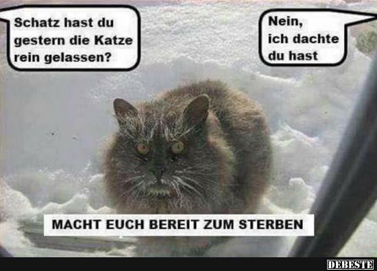 Schatz hast du gestern die Katze rein gelassen? - Lustige Bilder | DEBESTE.de