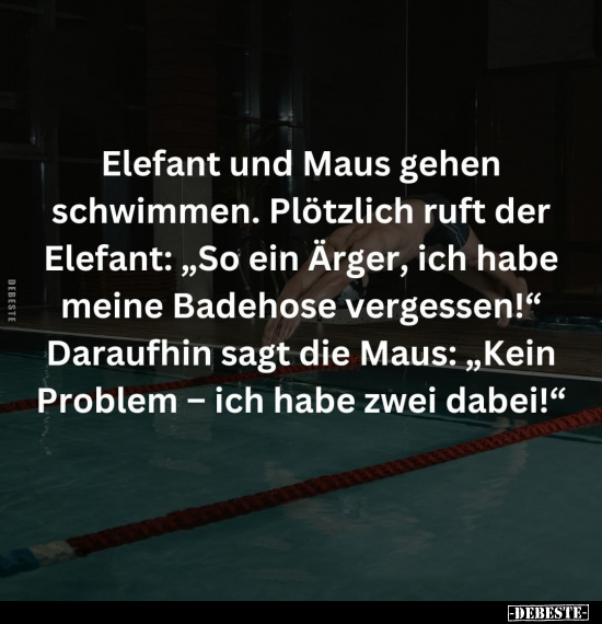 Elefant und Maus gehen schwimmen.. - Lustige Bilder | DEBESTE.de
