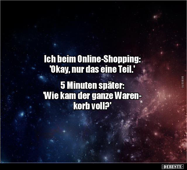 Ich beim Online-Shopping: 'Okay, nur das eine Teil.'.. - Lustige Bilder | DEBESTE.de