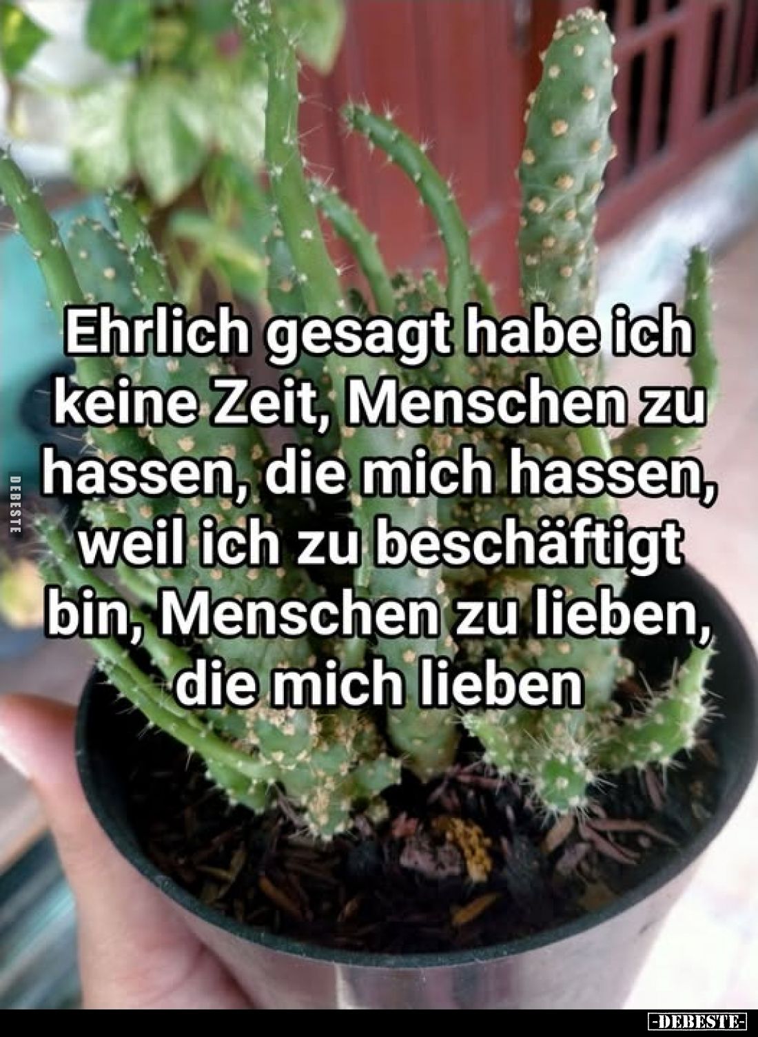 Ehrlich gesagt habe ich keine Zeit, Menschen zu hassen, die mich hassen, weil ich zu beschäftigt bin, Menschen zu lieben, die...
