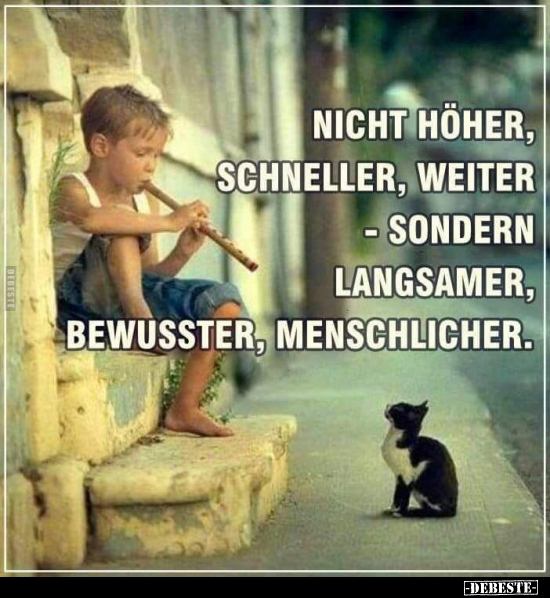 Nicht höher, schneller, weiter.. - Lustige Bilder | DEBESTE.de