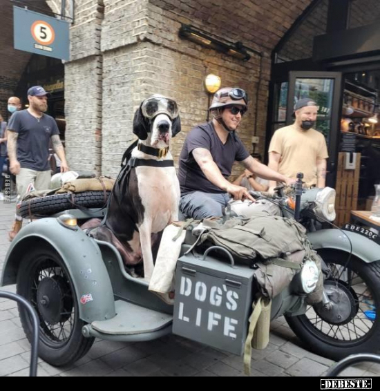  - Lustige Bilder | DEBESTE.de