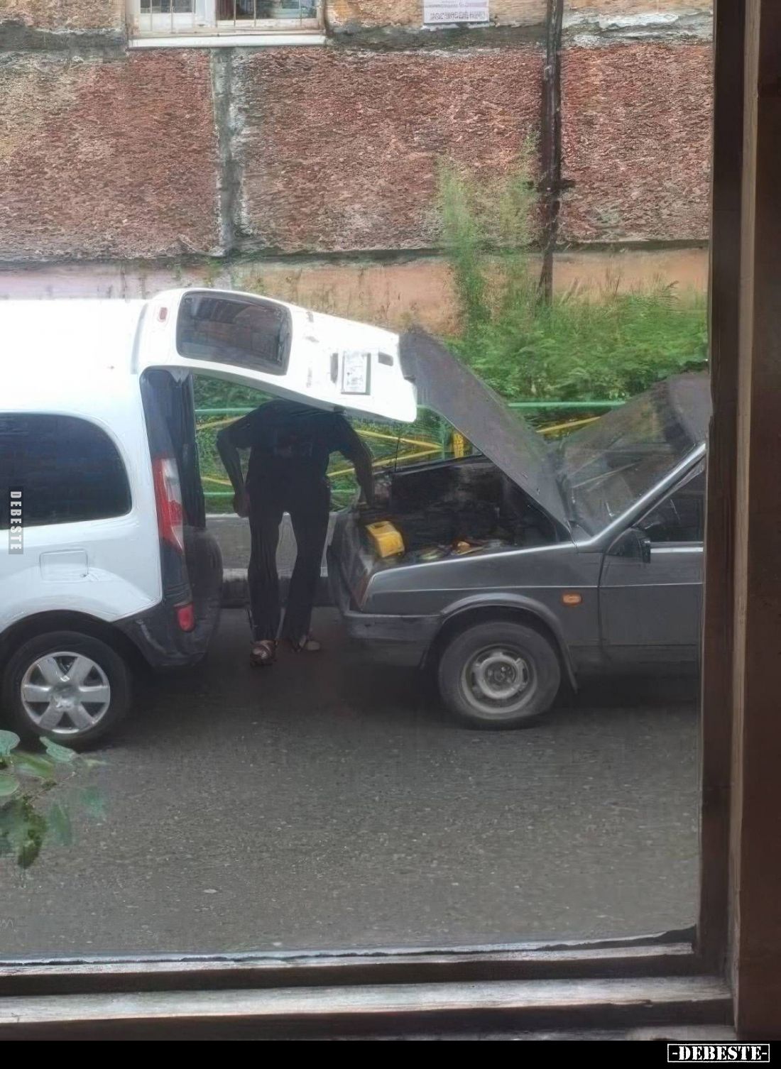  - Lustige Bilder | DEBESTE.de