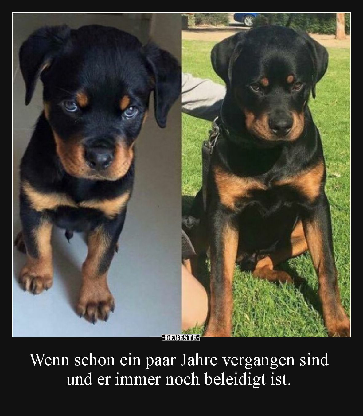 Wenn schon ein paar Jahre vergangen sind und er immer noch beleidigt ist.