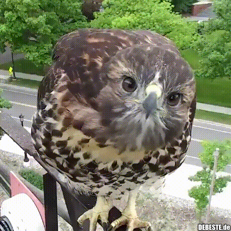 Ich glaube, ich kenne sie von irgendwoher...