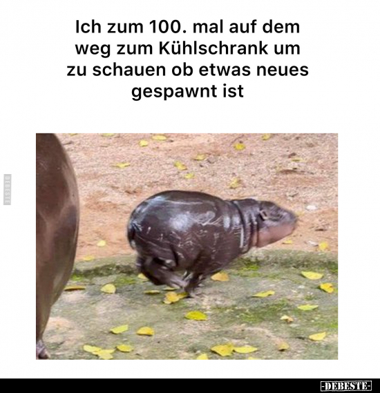 Ich zum 100. mal auf dem weg zum Kühlschrank.. - Lustige Bilder | DEBESTE.de