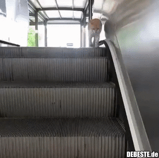 Eine unendliche Reise..