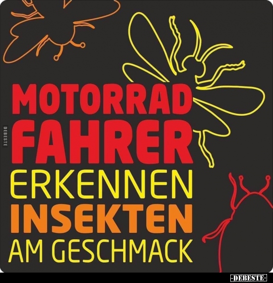 Motorradfahrer erkennen Insekten am Geschmack... - Lustige Bilder | DEBESTE.de