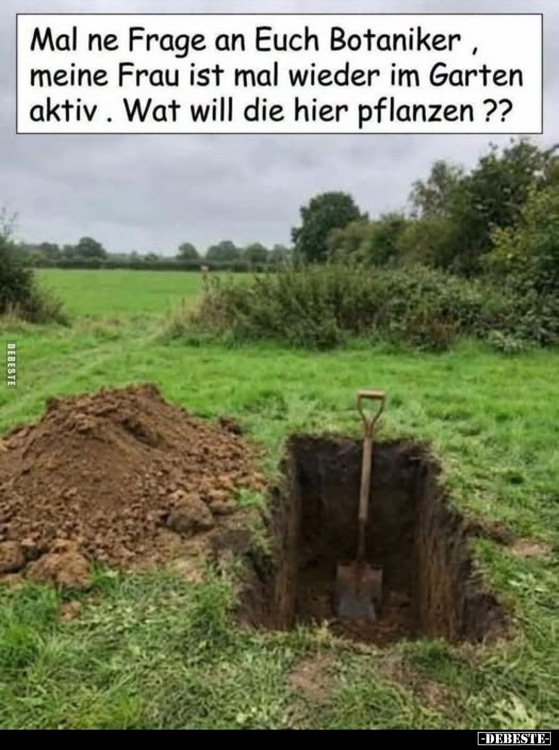 Mal ne Frage an Euch Botaniker, meine Frau ist mal wieder im Garten aktiv. Wat will die hier pflanzen ??
