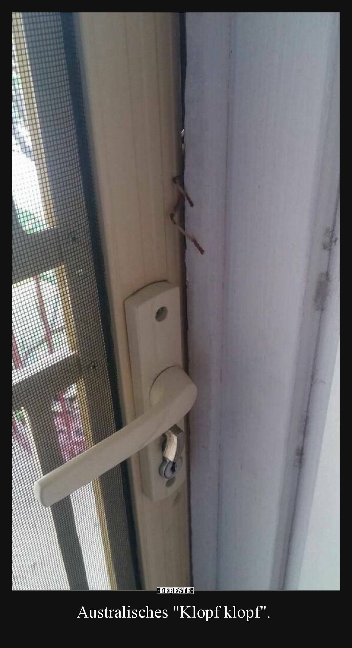 Australisches "Klopf klopf"