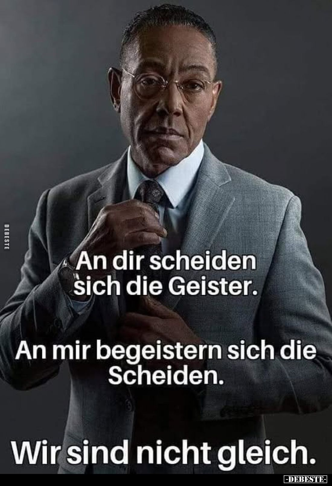 An dir scheiden sich die Geister.
An mir begeistern sich die Scheiden.
Wir sind nicht gleich.
