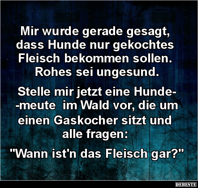 Mir wurde gerade gesagt, dass Hunde nur gekochtes Fleisch - Lustige Bilder | DEBESTE.de