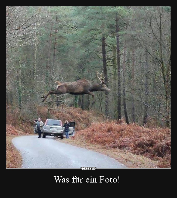 Was für ein Foto!..