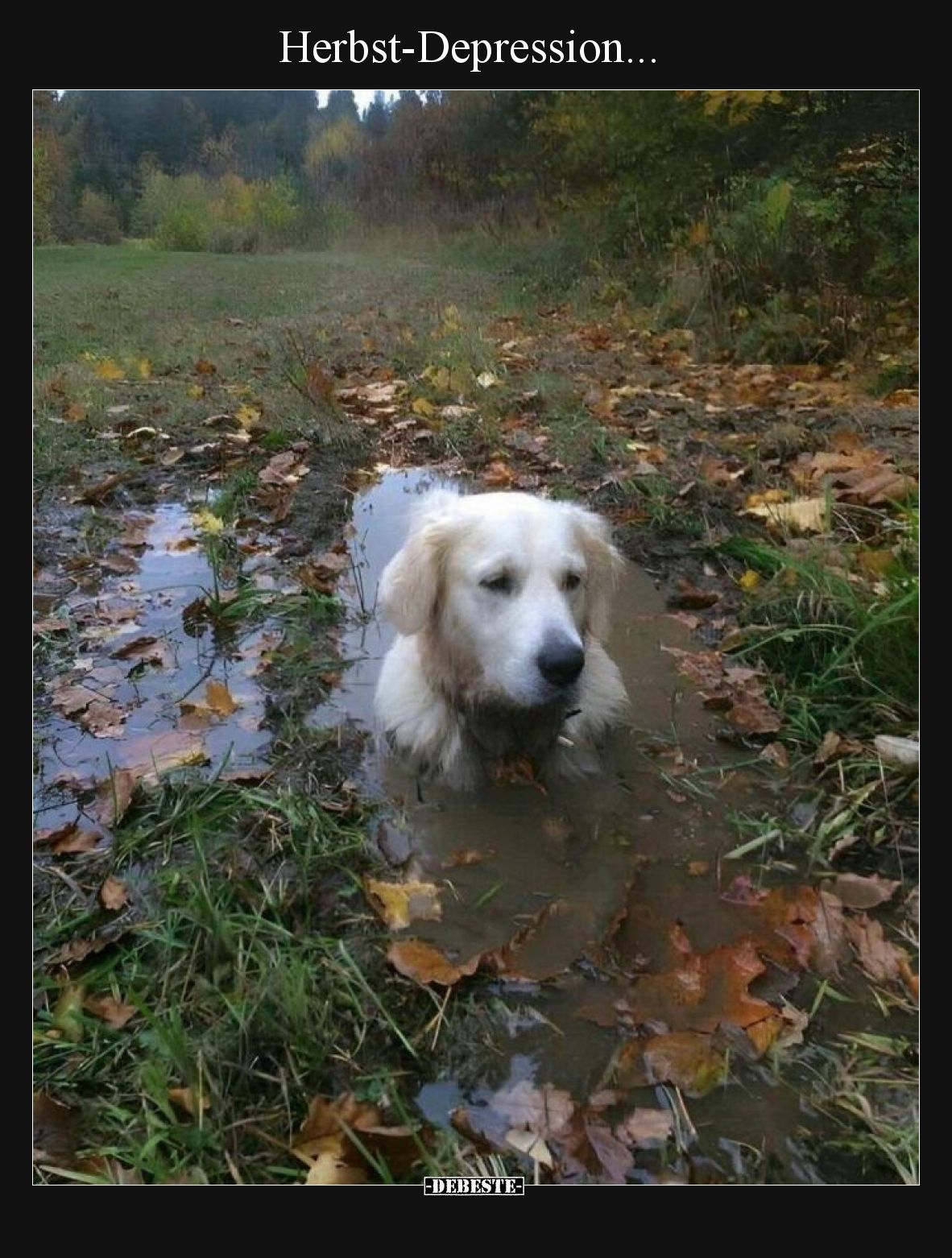 Herbst-Depression...
