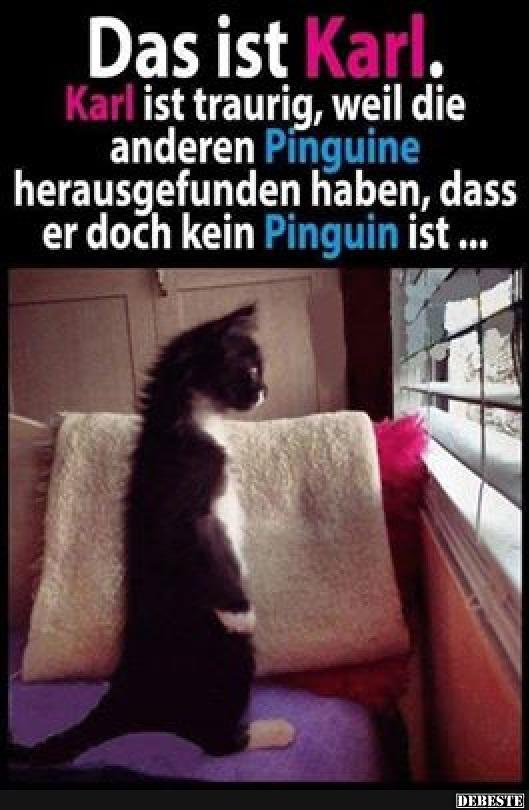 Das ist Karl..
