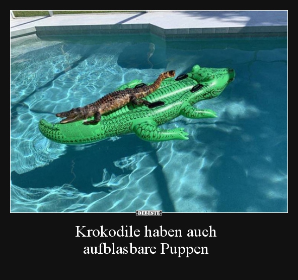 Krokodile haben auch aufblasbare Puppen.. - Lustige Bilder | DEBESTE.de