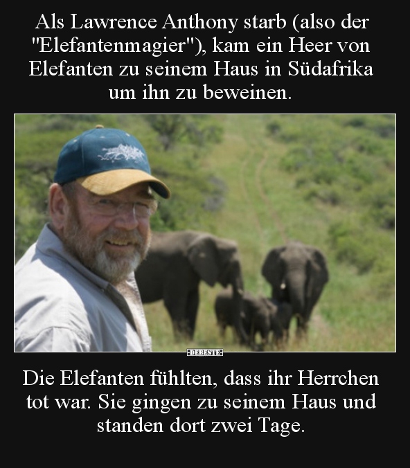 Als Lawrence Anthony starb (also der "Elefantenmagier").. - Lustige Bilder | DEBESTE.de
