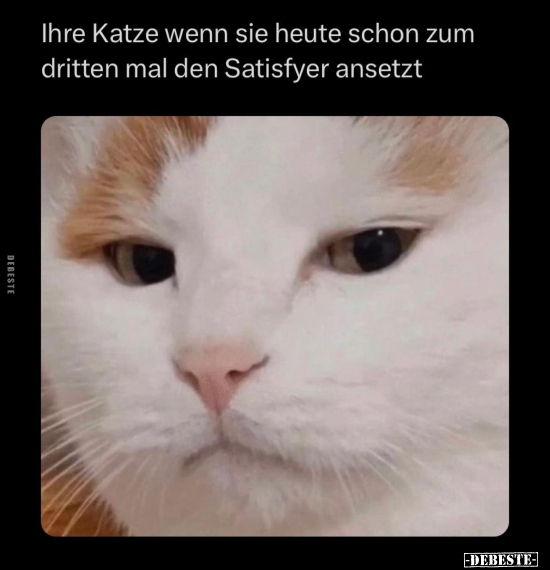 Ihre Katze wenn sie heute schon zum dritten mal den.. - Lustige Bilder | DEBESTE.de