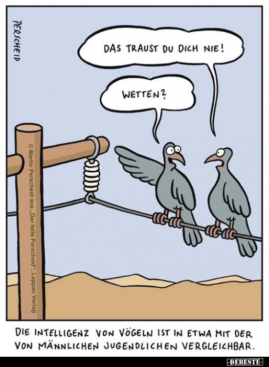 Die Intelligenz von Vögeln.. - Lustige Bilder | DEBESTE.de
