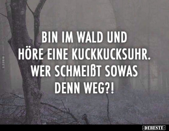 Bin im Wald und höre eine Kuckucksuhr. Wer schmeißt sowas.. - Lustige Bilder | DEBESTE.de