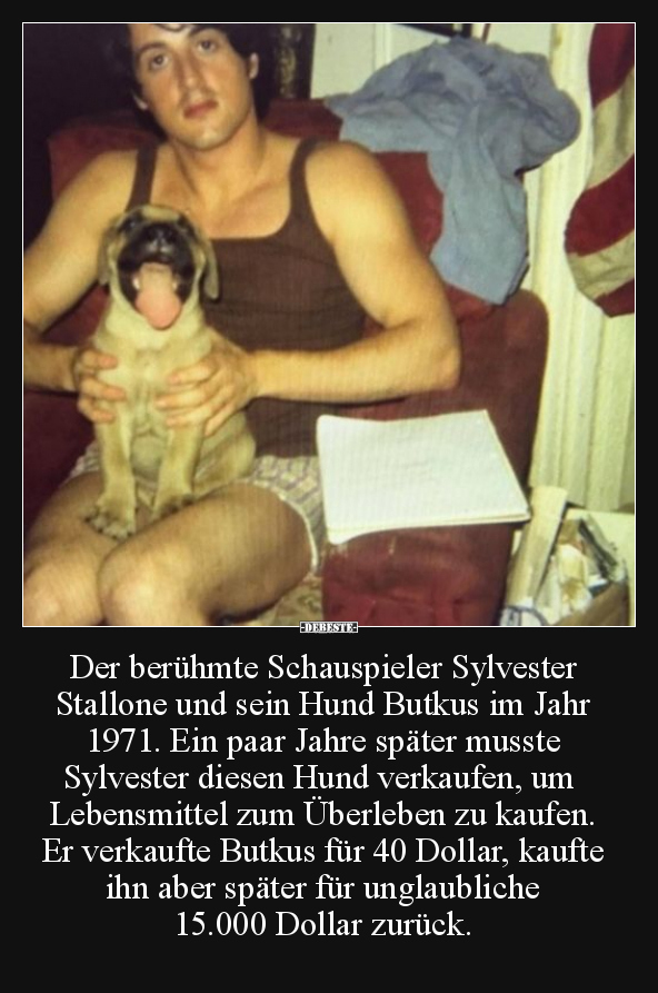 Der berühmte Schauspieler Sylvester Stallone.. - Lustige Bilder | DEBESTE.de