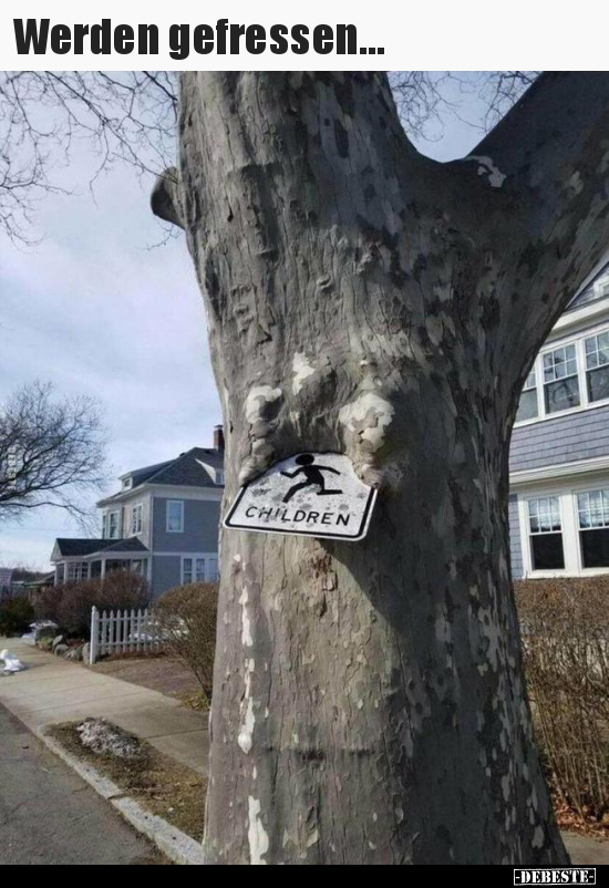 Werden gefressen...