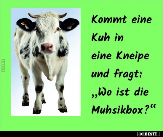 Kommt eine Kuh in eine Kneipe und fragt.. - Lustige Bilder | DEBESTE.de