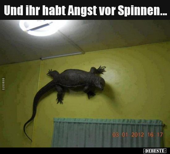 Und ihr habt Angst vor Spinnen... - Lustige Bilder | DEBESTE.de