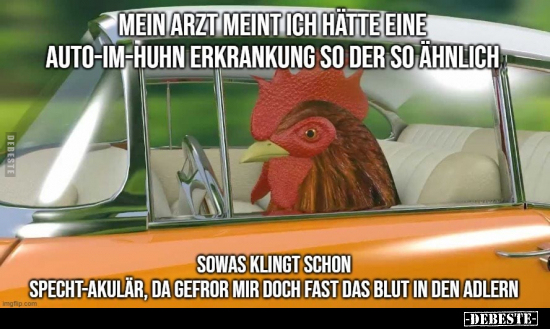 Mein Arzt meint, ich hätte eine Auto-im-Huhn-Erkrankung, so.. - Lustige Bilder | DEBESTE.de