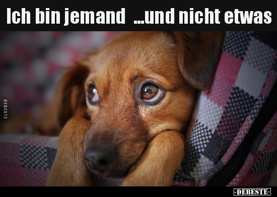 Ich bin jemand ...und nicht etwas..