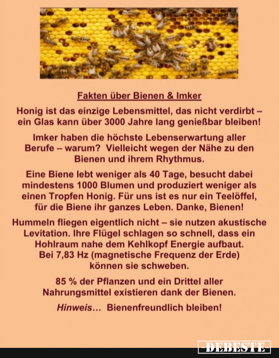 Bienen und Imker - Lustige Bilder | DEBESTE.de