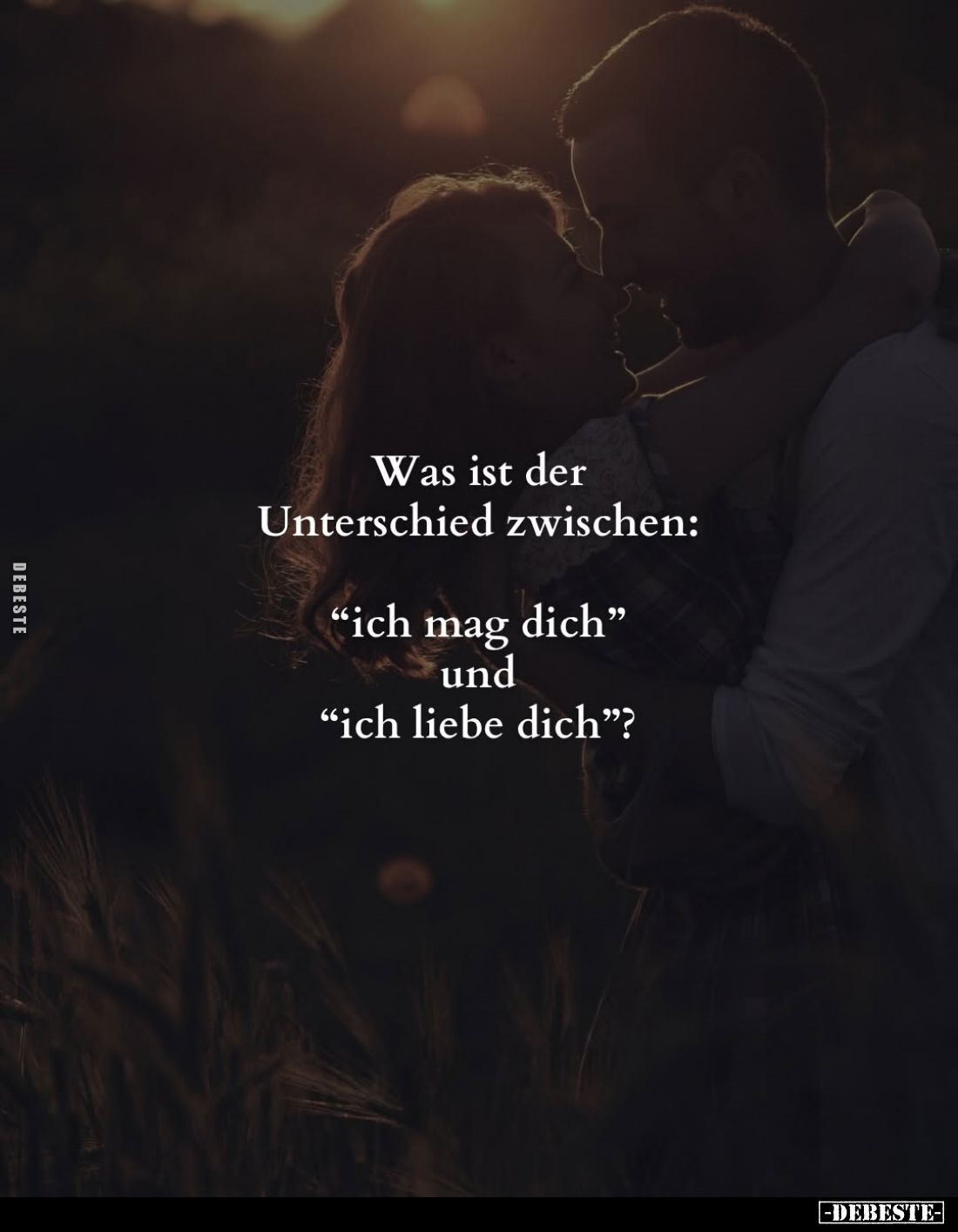 Was ist der Unterschied zwischen:
"ich mag dich" und
"ich liebe dich"?