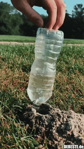 Vielleicht sind die überall in jeder Wiese?