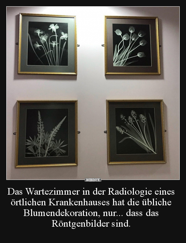 Das Wartezimmer in der Radiologie eines örtlichen.. - Lustige Bilder | DEBESTE.de