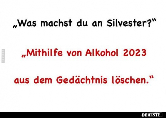 "Was machst du an Silvester?".. - Lustige Bilder | DEBESTE.de