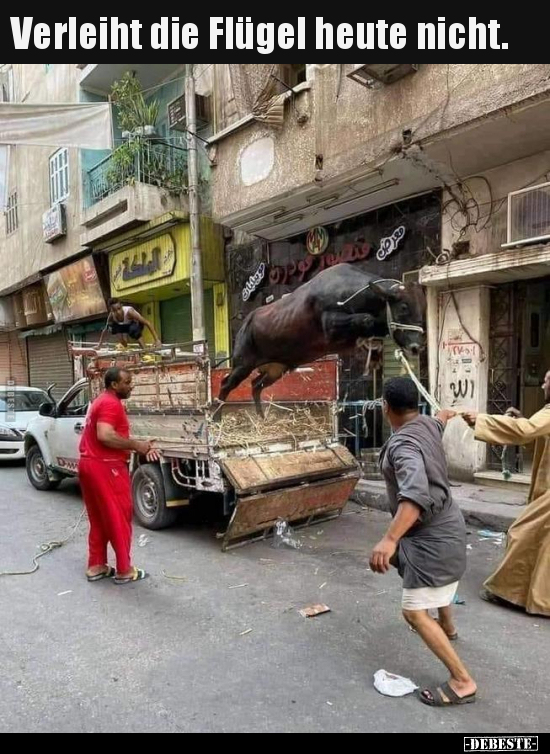 Verleiht die Flügel heute nicht...